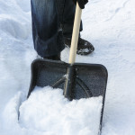 Foto: dreamstime© Stepan Popov