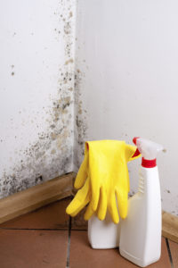 Foto: istock.com/Cegli