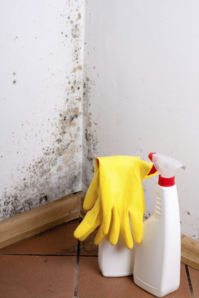 Foto: istock.com/Cegli