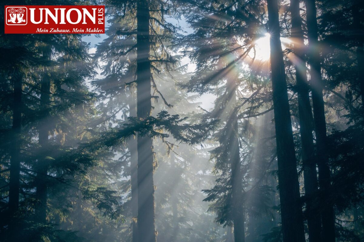 Foto: pixabay.com_pexels ID 1868136